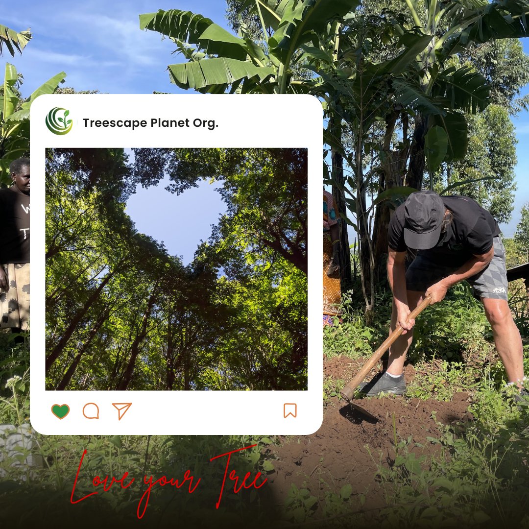 #LoveYourTree this February...

This season of love, let’s show appreciation not just to people, but to the trees that quietly care for us every day.

#Trees give us clean air, shade, food, protection, and hope for a greener tomorrow. Loving a tree means planting one, protecting