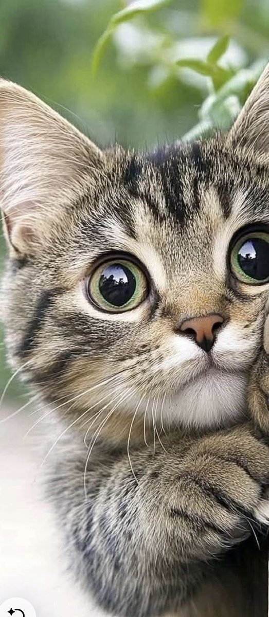 🧚♀️💖LolaLolita 💖🧚♀️ tweet media