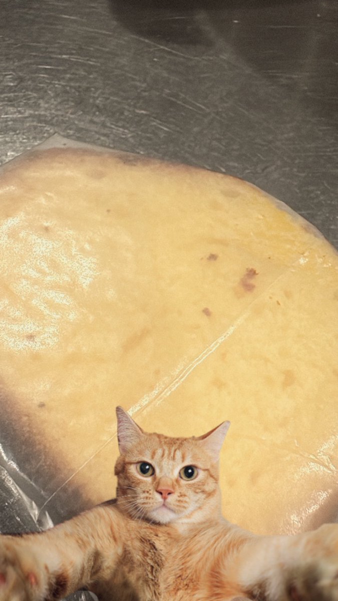 仕事中に始まる
はちみつパウンドケーキ作り👩‍🍳🍯

バレンタイですか？いいえ。気分です。