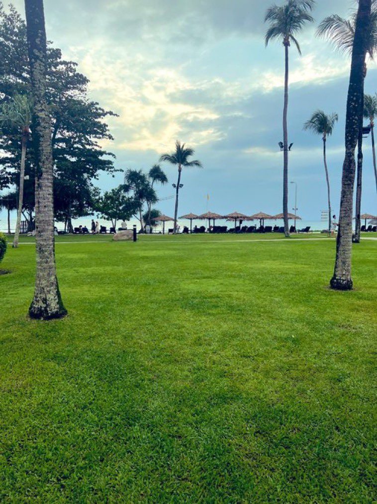 غاده ،،معلمة،، tweet media