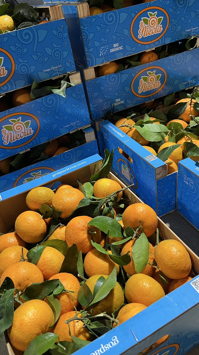 Gospa Citrus tweet media