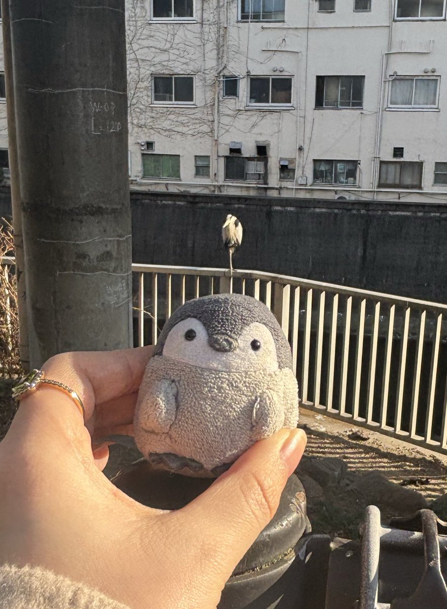 お気づきだろうか...