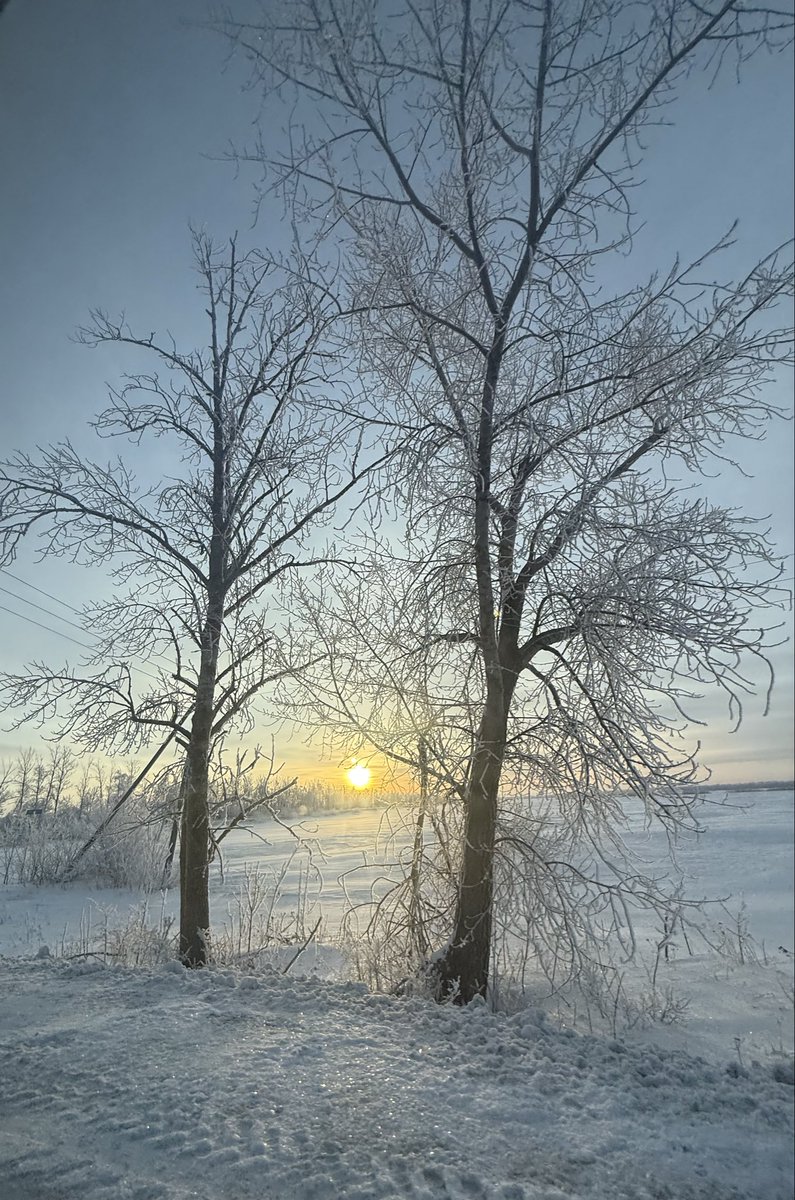 ❄️Good morning❄️                                           ✨the sun continues to please, have a warm and sunny day to you✨