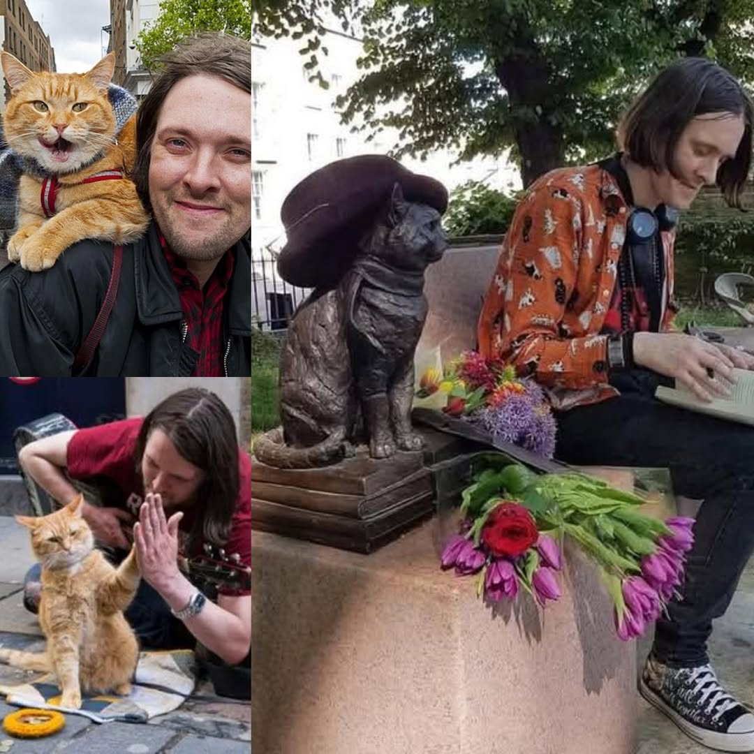 Dijo una vez James Bowen: "Bob era más que un gato: era mi salvador y mi mejor amigo. Llegó a mi vida cuando estaba roto, cuando no veía salida. Y él, con su simple presencia, me enseñó que todavía había razones para quedarme. Las calles de Londres pueden ser frías, pero Bob