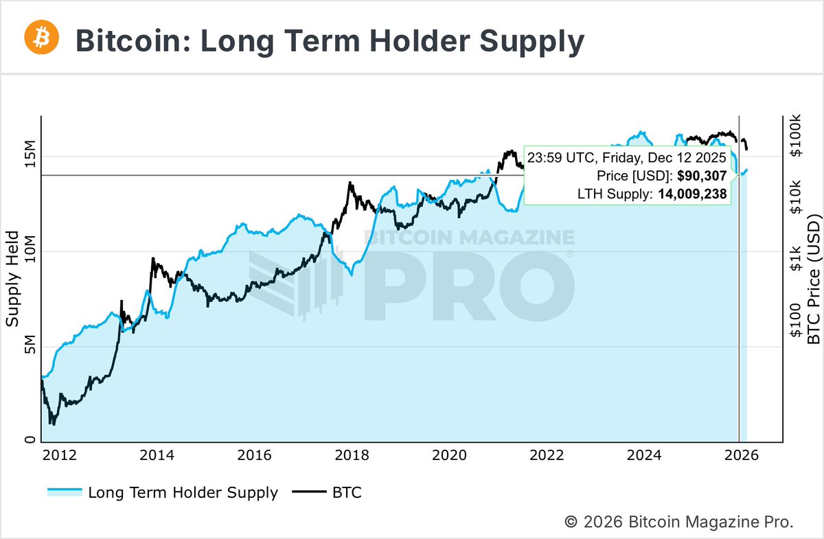 Bitfinex tweet media