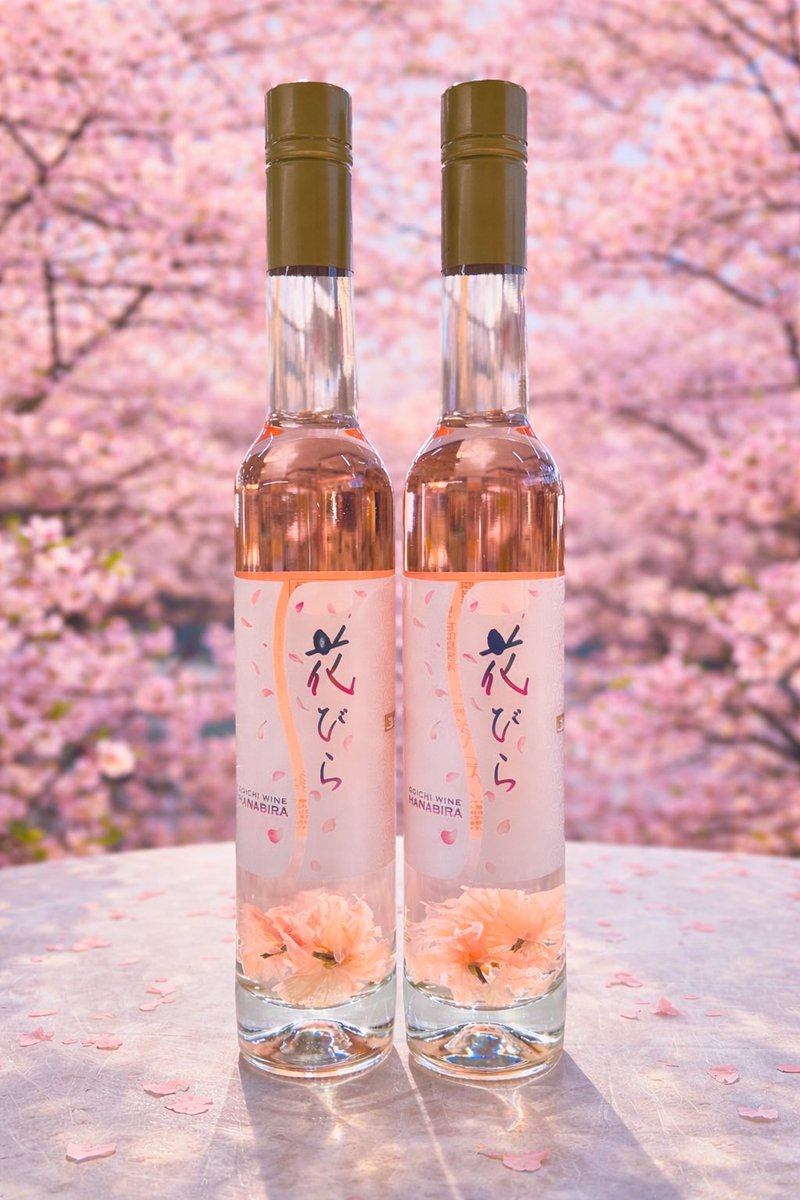 OrancheX's tweet photo. 桜ワイン入荷しました！！
ロング瓶　375ml・・・¥1,500
カップ瓶　120ml・・・¥500
存分に春を感じてください🌸🩷 https://t.co/L547jh0q5N