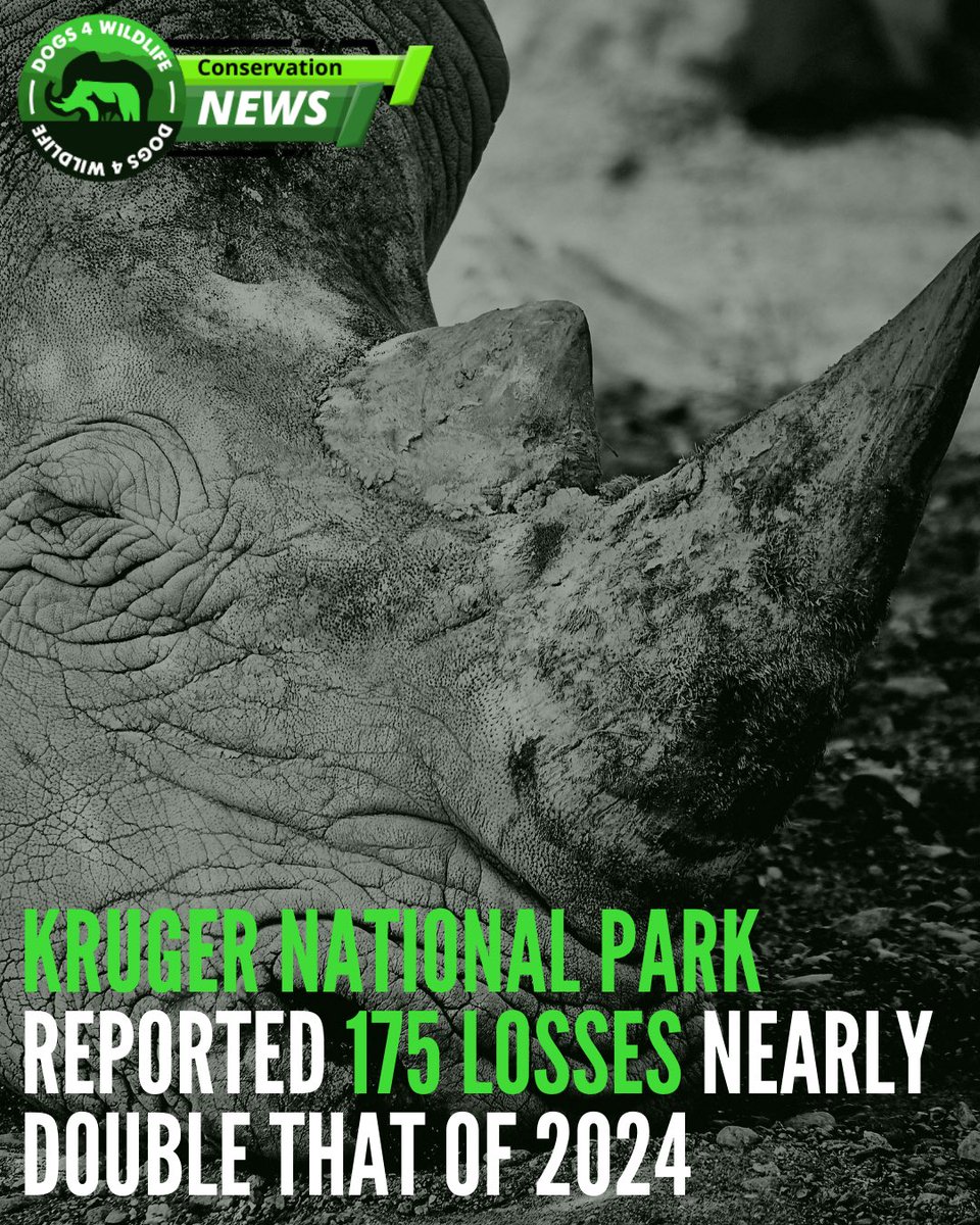 Dogs4Wildlife tweet media