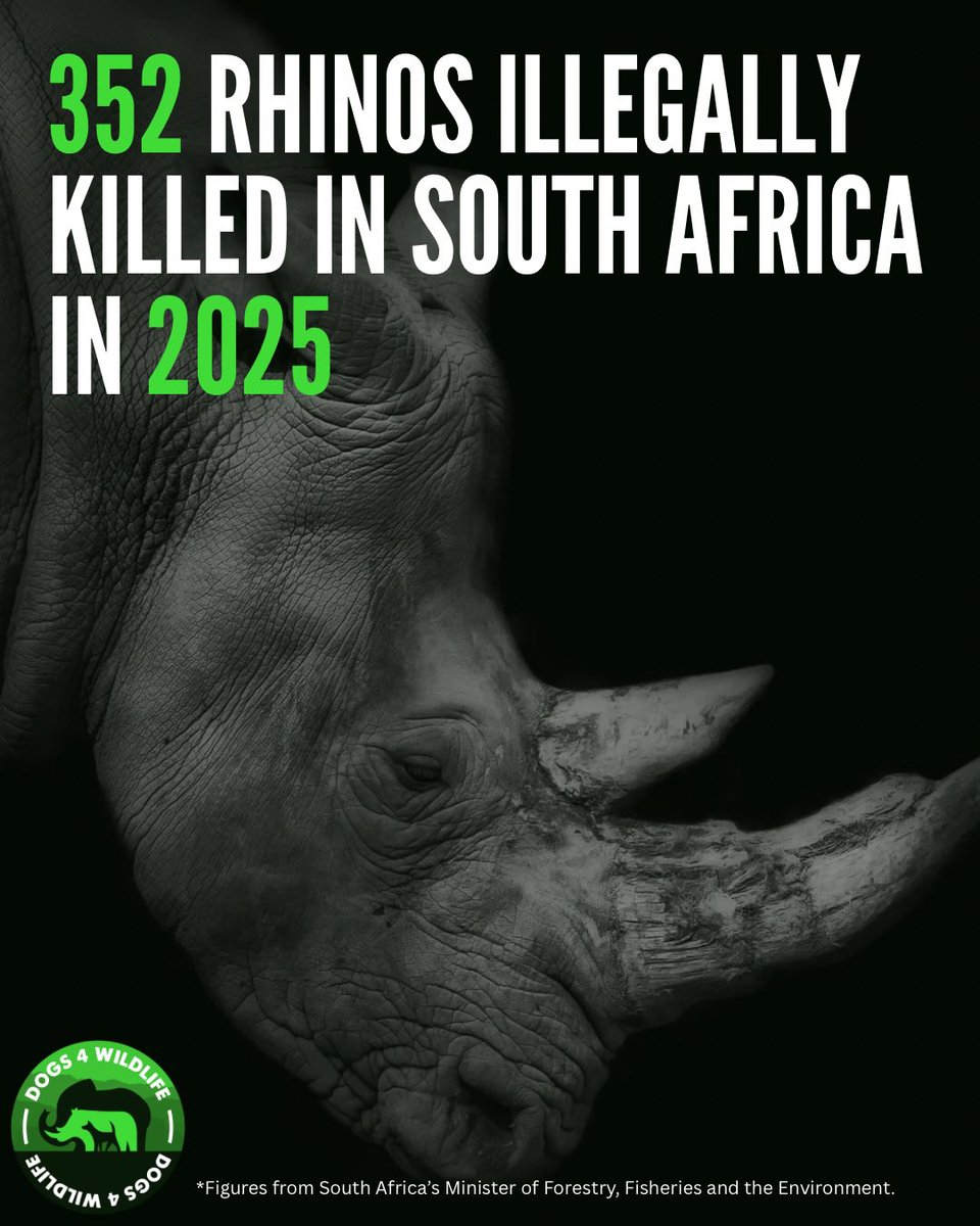 Dogs4Wildlife tweet media