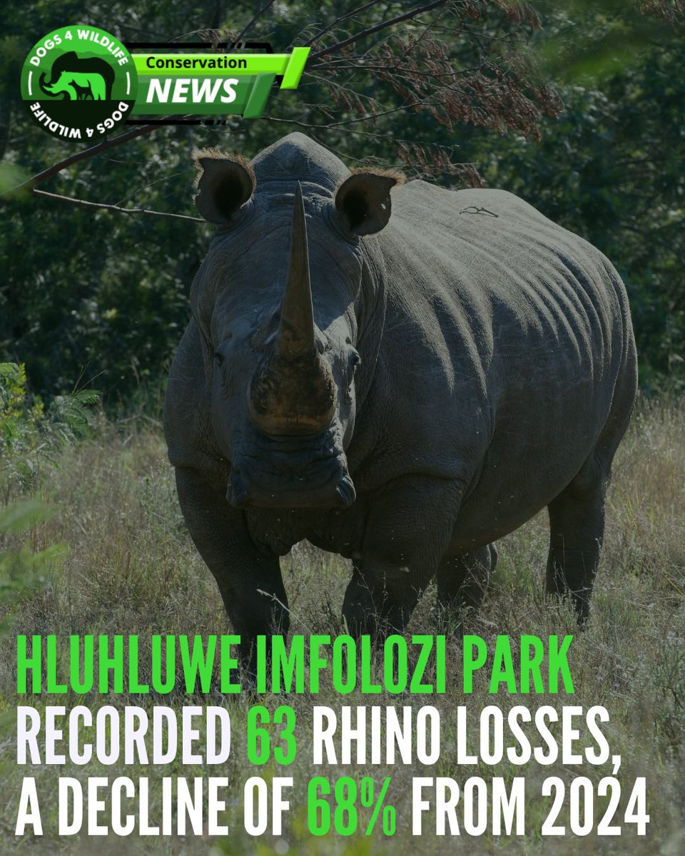 Dogs4Wildlife tweet media