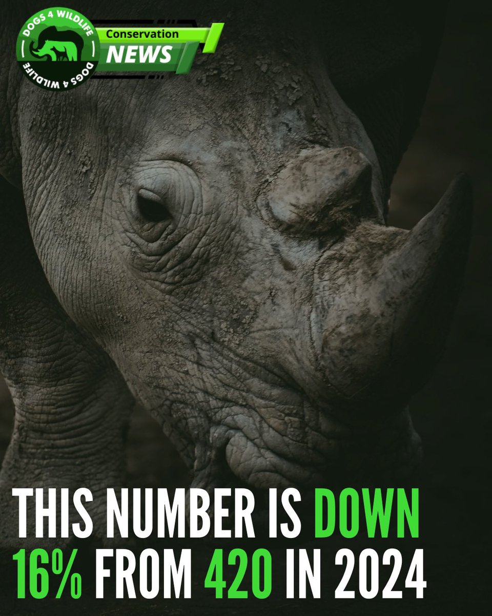 Dogs4Wildlife tweet media