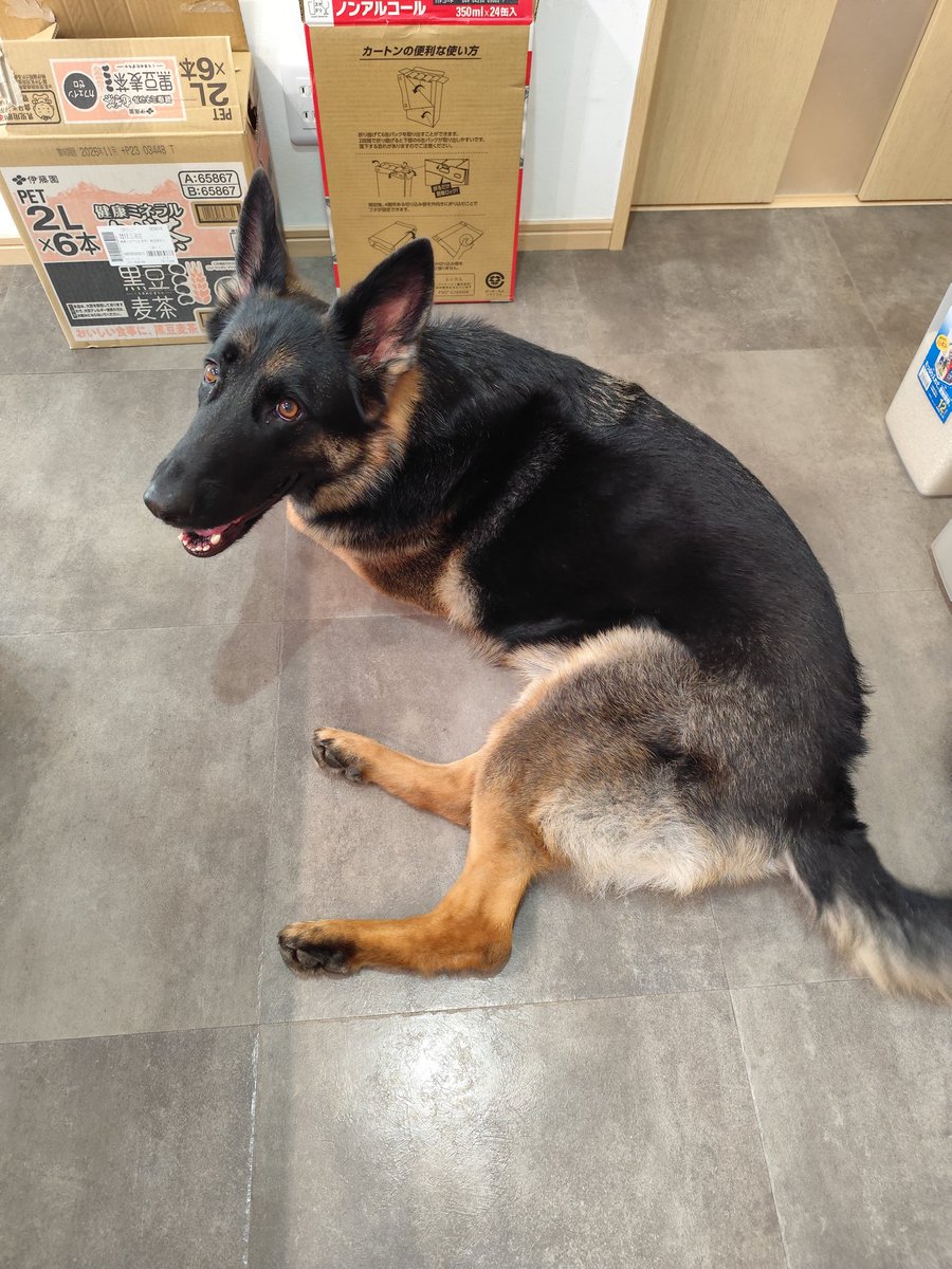 ママの特権！ミラの笑顔🥰