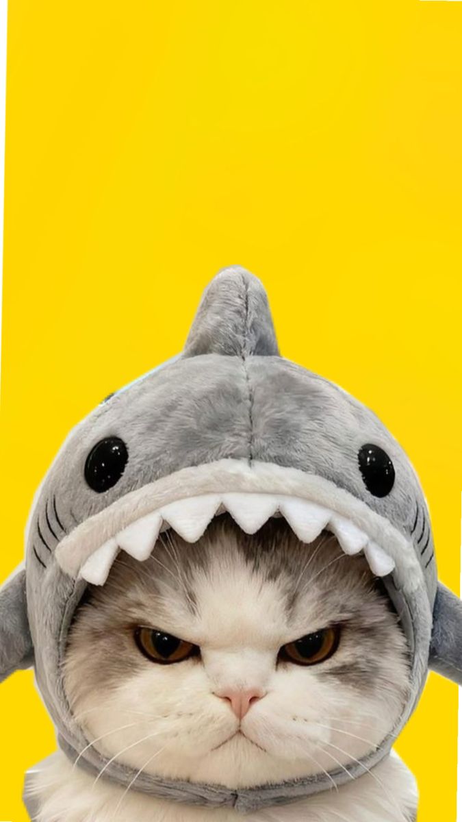 Arxivarius 🍚 ⛓ tweet media