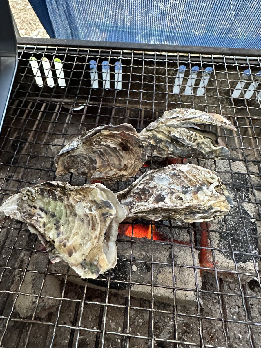Yuusora2703's tweet photo. 冬といえば https://t.co/JrnO9Jt0Wx