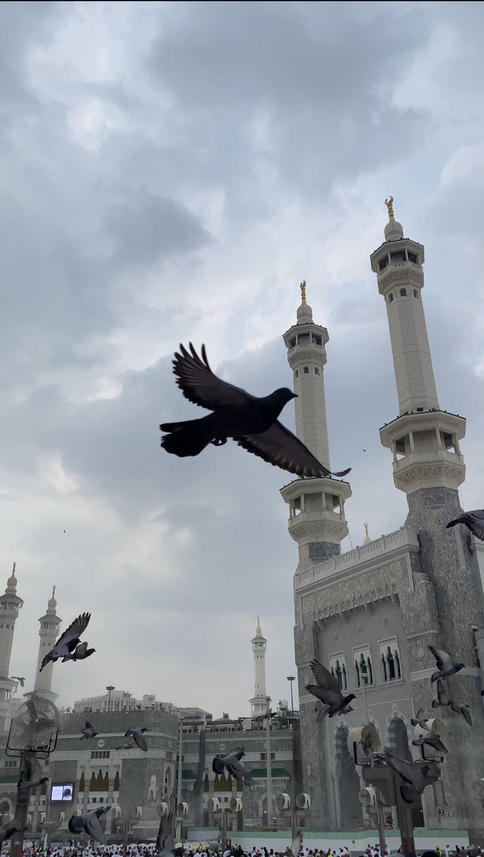 SajaMasoud95's tweet photo. 🕋🕊️
📍مكّة المكرمة || المسجد الحرام https://t.co/YLOriHVS48