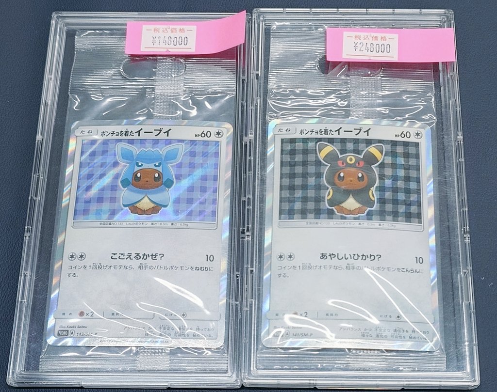 🌟入荷情報🌟 🖤ポンチョを着たイーブイ ブラッキー