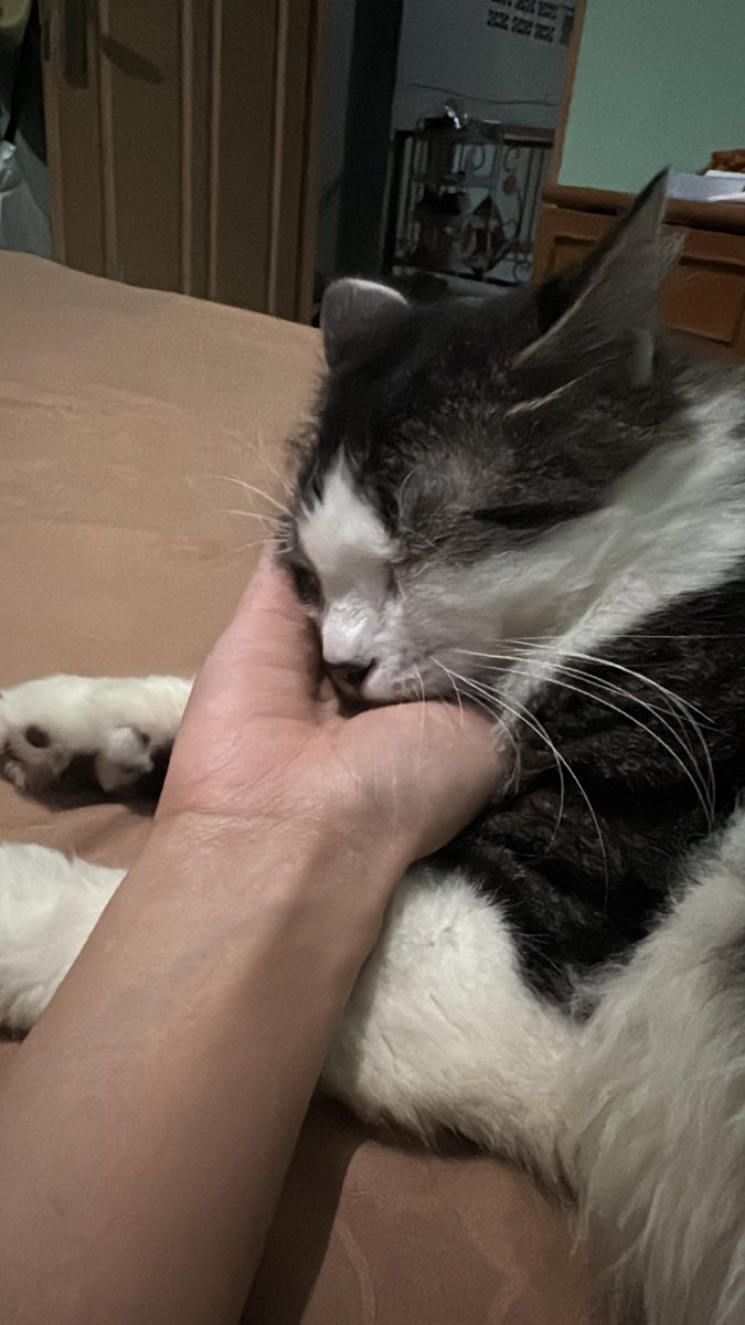 jangankan bobo bareng di kasur, kalau dia minta sekolah tinggi tinggi pun aku turuti. kujual baju celana sesempak sempaknya, kuperas keringat sampe ke sela sela lipatan mana pun, buat dia.