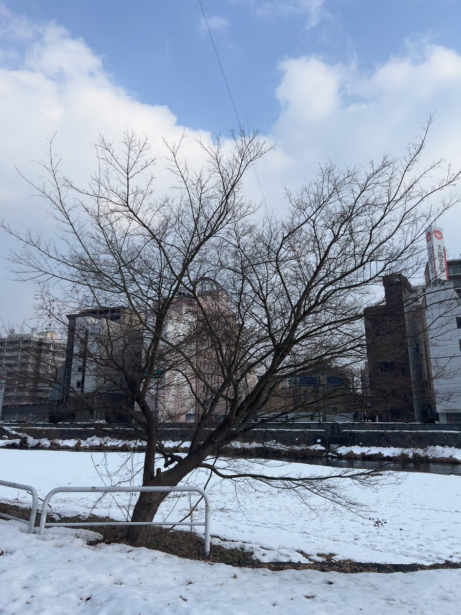 zhutiantian's tweet photo. 今天下午盛冈散歩日和。
天气暖和,脚下的路干干净净没有雪,有雪可看。
路线也满意,干活儿干到13点去 #ポンコツ酒場 吃个 lunch set ,吃完去 #booknerd 逛逛,买两本书,然后走到 #saveur 买面包,跟可爱的店主聊会儿天。 https://t.co/OhwIl9RKD5