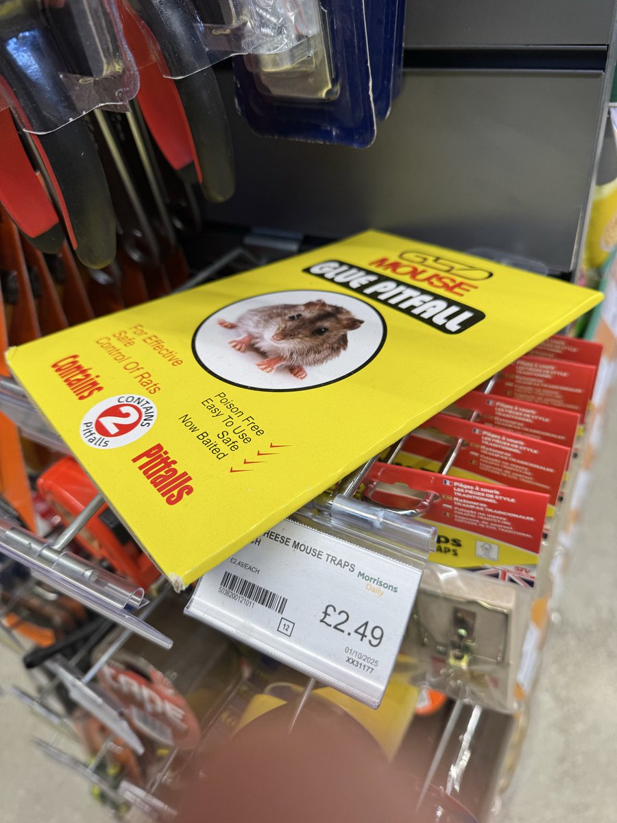 emmathompy's tweet photo. @Morrisons firstly it is so disappointing to see these, exceptionally cruel methods of catching mice, in your local store near East India DLR station, Secondly, is this even legal? https://t.co/q7NjVHBd2d