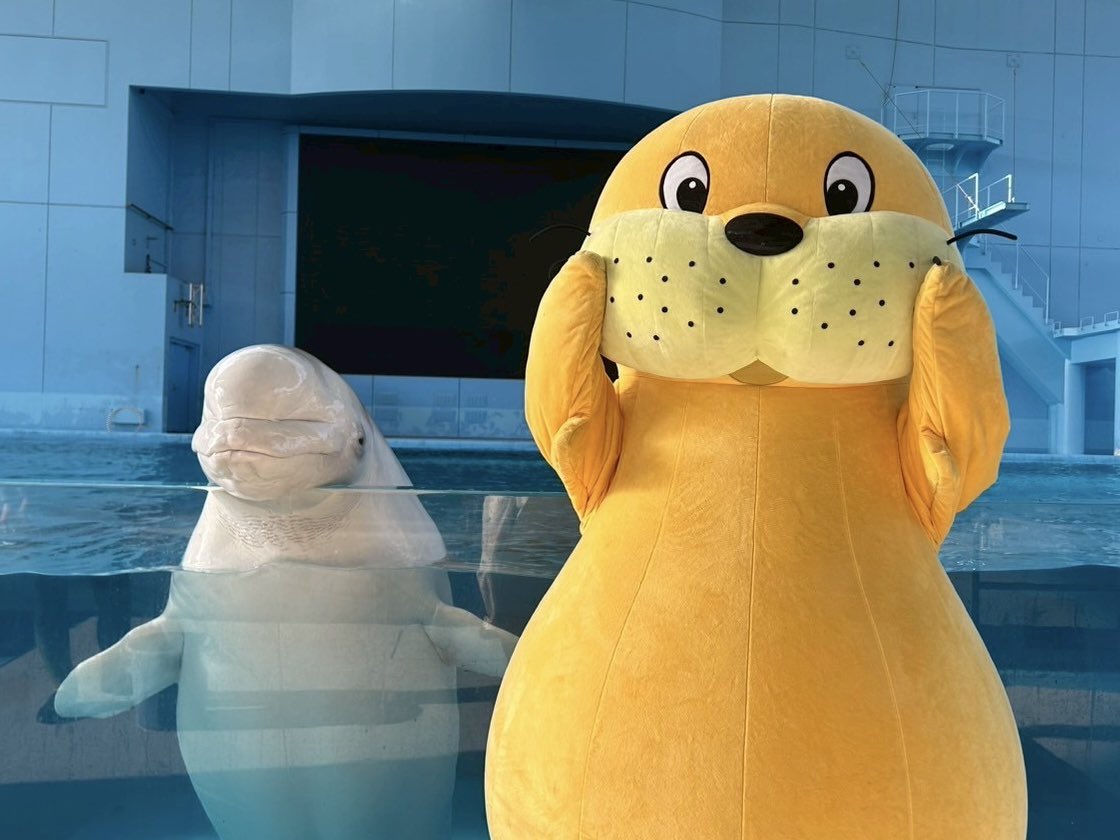 公式】横浜・八景島シーパラダイス アニメ/ゲーム部