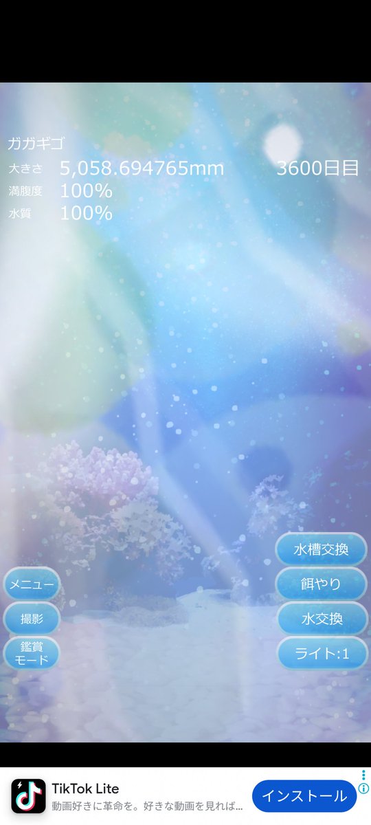 218shun's tweet photo. 癒しのクラゲ育成ゲーム3600日目🎉
癒しのクラゲ育成ゲームの実況プレイでも始めようかな https://t.co/Yys0xUHpbV
