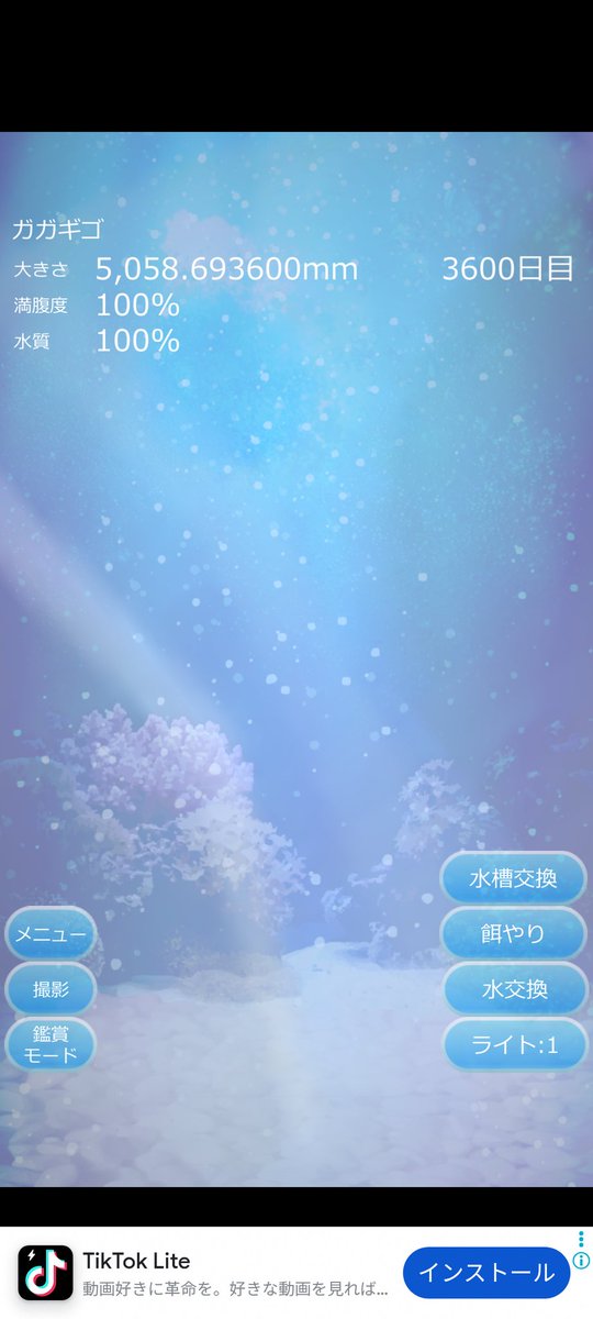 218shun's tweet photo. 癒しのクラゲ育成ゲーム3600日目🎉
癒しのクラゲ育成ゲームの実況プレイでも始めようかな https://t.co/Yys0xUHpbV