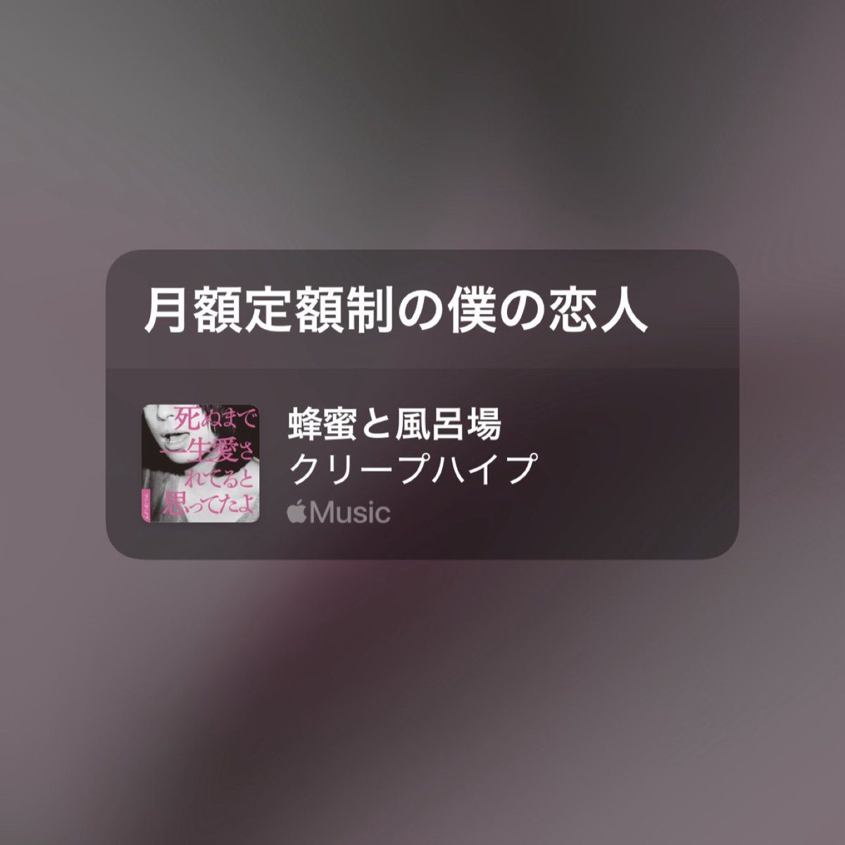 れ　あ　様　𓂃 tweet media