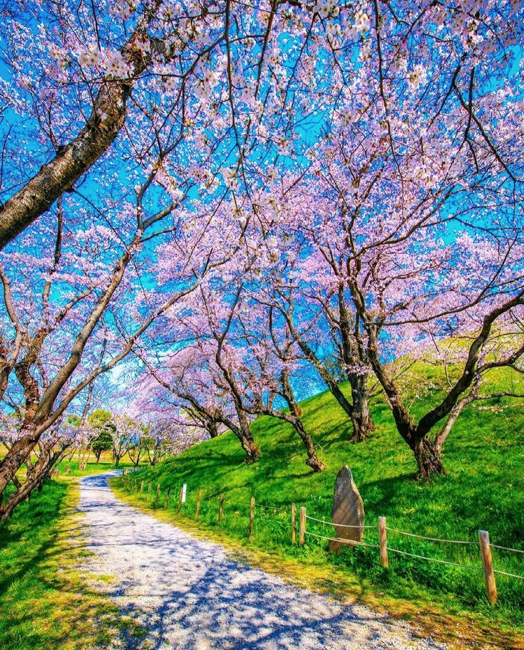 Amazing views 😍 (@naturaleye78321) on Twitter photo 