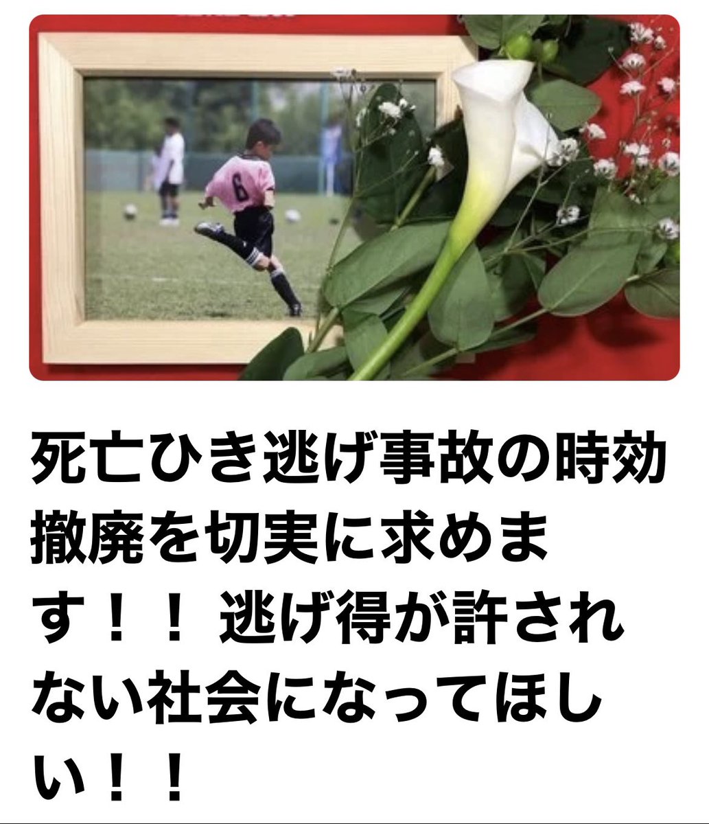 《お力をお貸しください🙇‍♀️》
#熊谷市小4男児死亡ひき逃げ事件
時効まで3年8ヶ月
2台の車両にひき逃げされ
当時10歳の息子を亡くした母親です。
ひき逃げ犯を探しています。
情報提供のご協力をお願いします。

死亡ひき逃げ事件の時効撤廃署名の
ご協力をお願いいたします🙇‍♀️
c.org/gQJhxsntPK
