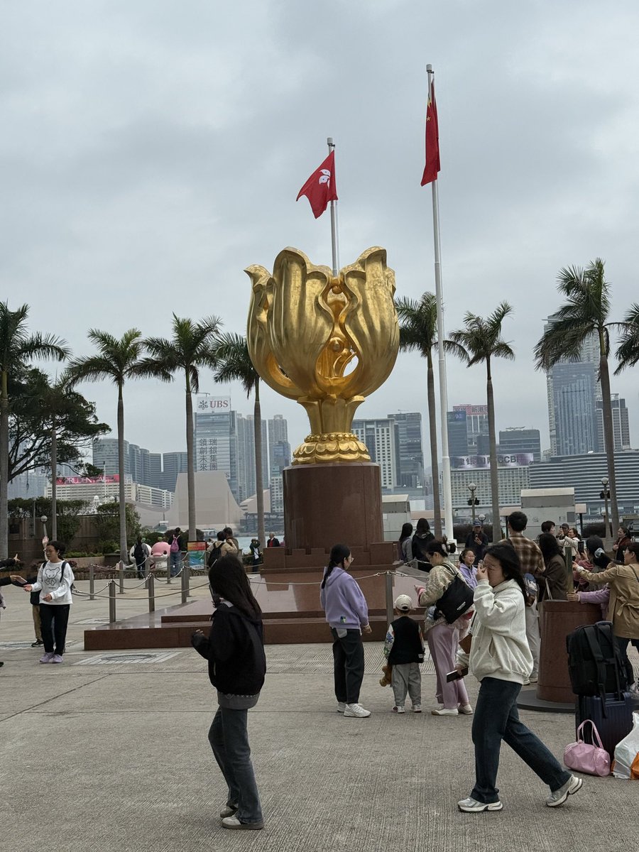 TheOrca.sol 👨‍💻 tweet media