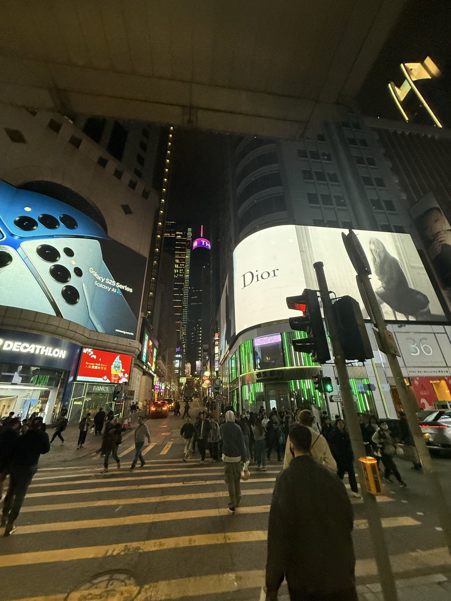 TheOrca.sol 👨‍💻 tweet media