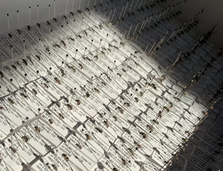 University of Washington tweet media