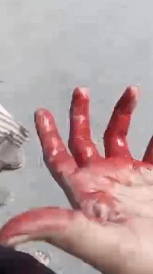 أبو غيث العمودي tweet media