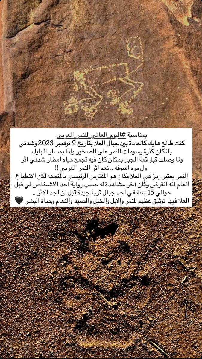 متعب | AlUla tweet media