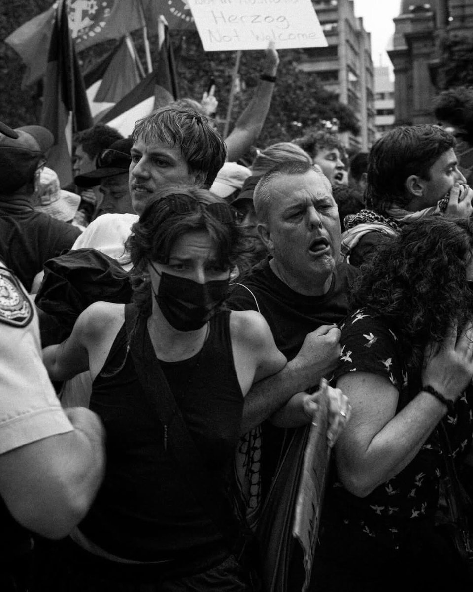 Adam Curlis tweet media