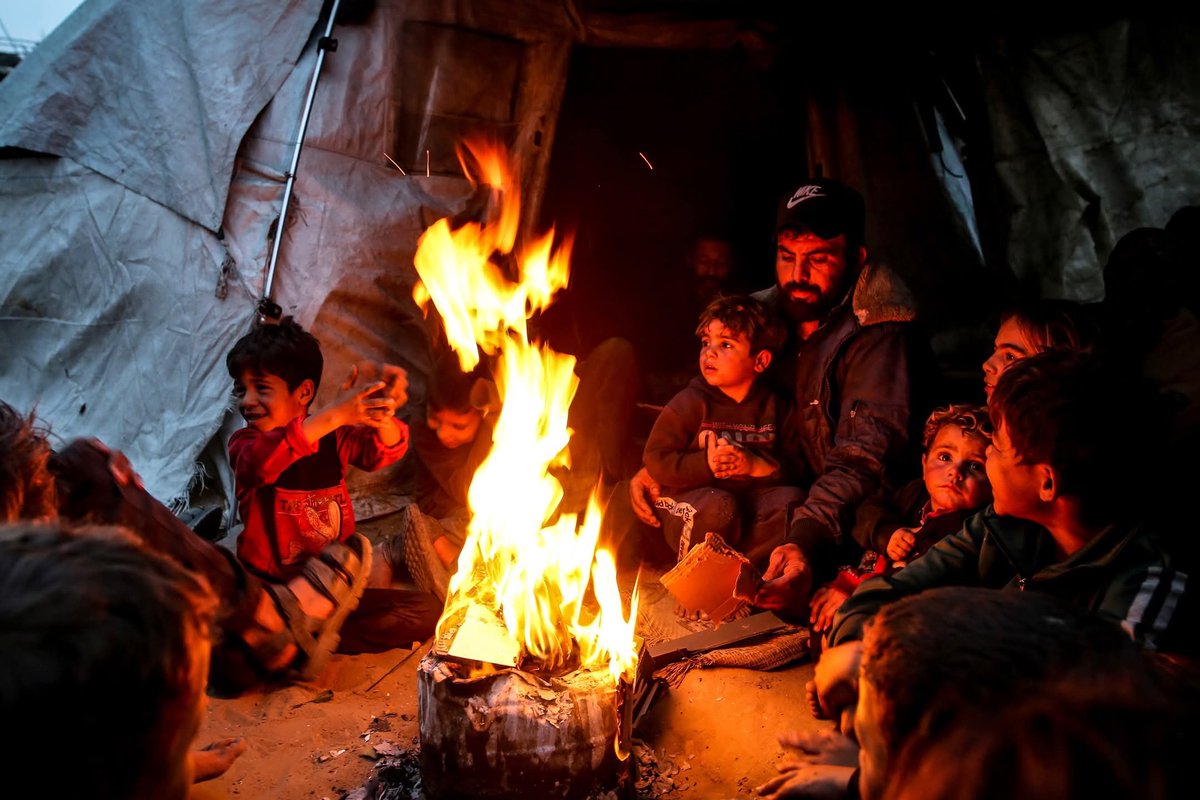 PalPress24's tweet photo. World Food Programme: Needs in Gaza remain immense. https://t.co/fvo3o08ywY
