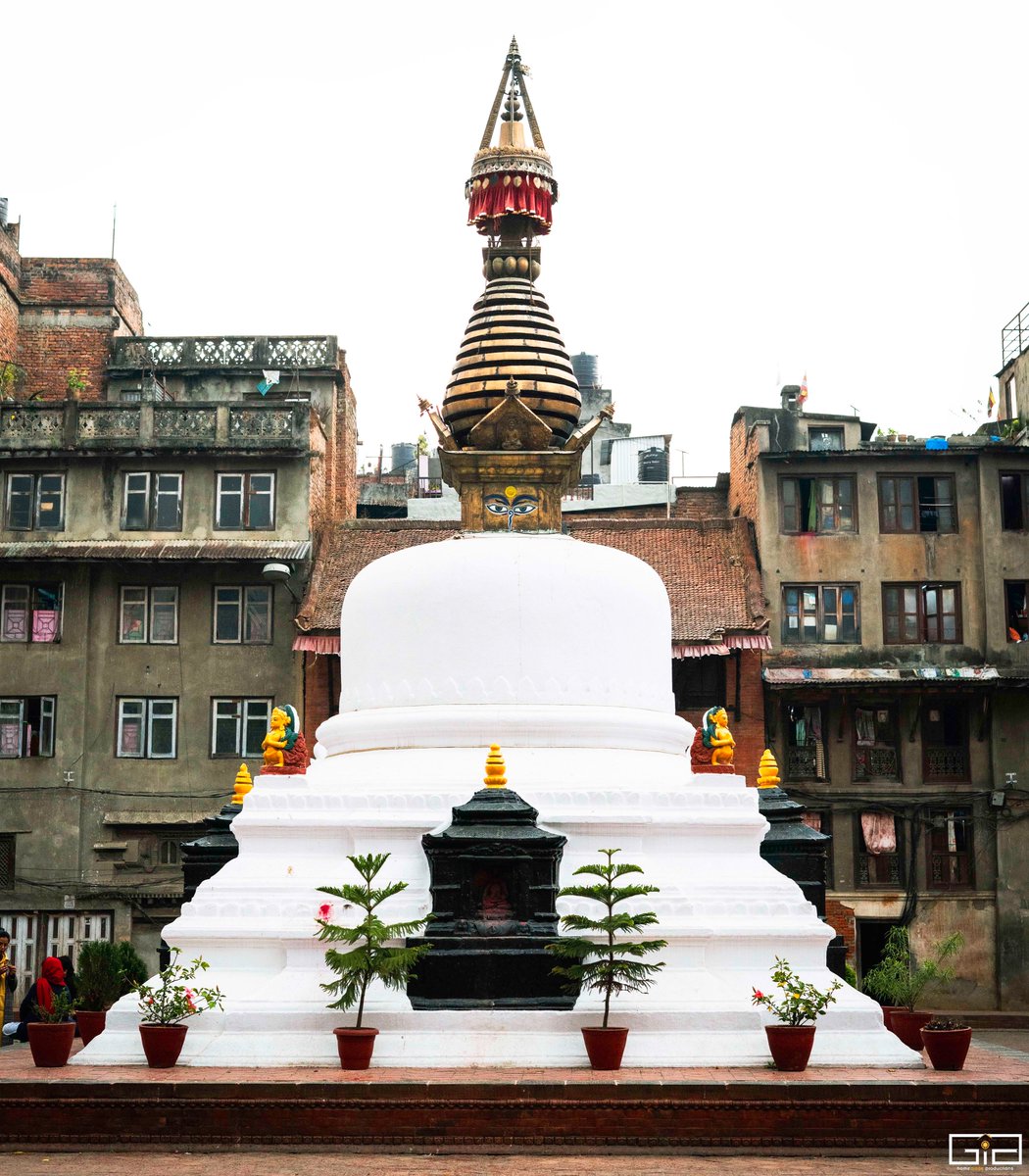 Gia homemade productions tweet media