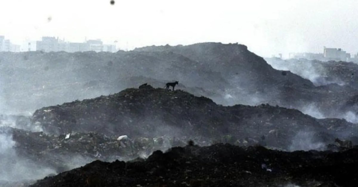 gemsofbabus_'s tweet photo. 🚨 Meet IAS Asheesh Singh, cleared 13 lakh metric tons of garbage from a 100-acre dumpsite in Indore in just 6 months.

> Cost? Less than ₹10 crore.

> Fires from plastic, cloth, wood and paper polluted the air and nearby colonies were choking due to toxic emissions.

> Between 2016–2018, outsourced clearance moved at a snail’s pace. Just 2 lakh metric tons cleared in 2 years.

> Contractors were charging around ₹500 per cubic meter, pushing the projected cost to nearly ₹65 crore.

> After taking charge in May 2018, IAS officer Asheesh Singh scrapped the outsourcing model.

> Instead, IMC rented heavy machinery and ran operations in two shifts using internal resources.

> Bio-mining of the entire 13 lakh metric tons was completed by 5 December 2018, in just 6 months.

>Total cost: under ₹10 crore.
>Estimated reclaimed land value: ~₹400 crore.

From a toxic landfill to reclaimed urban land. A case study in administrative efficiency and fiscal discipline. 🙏