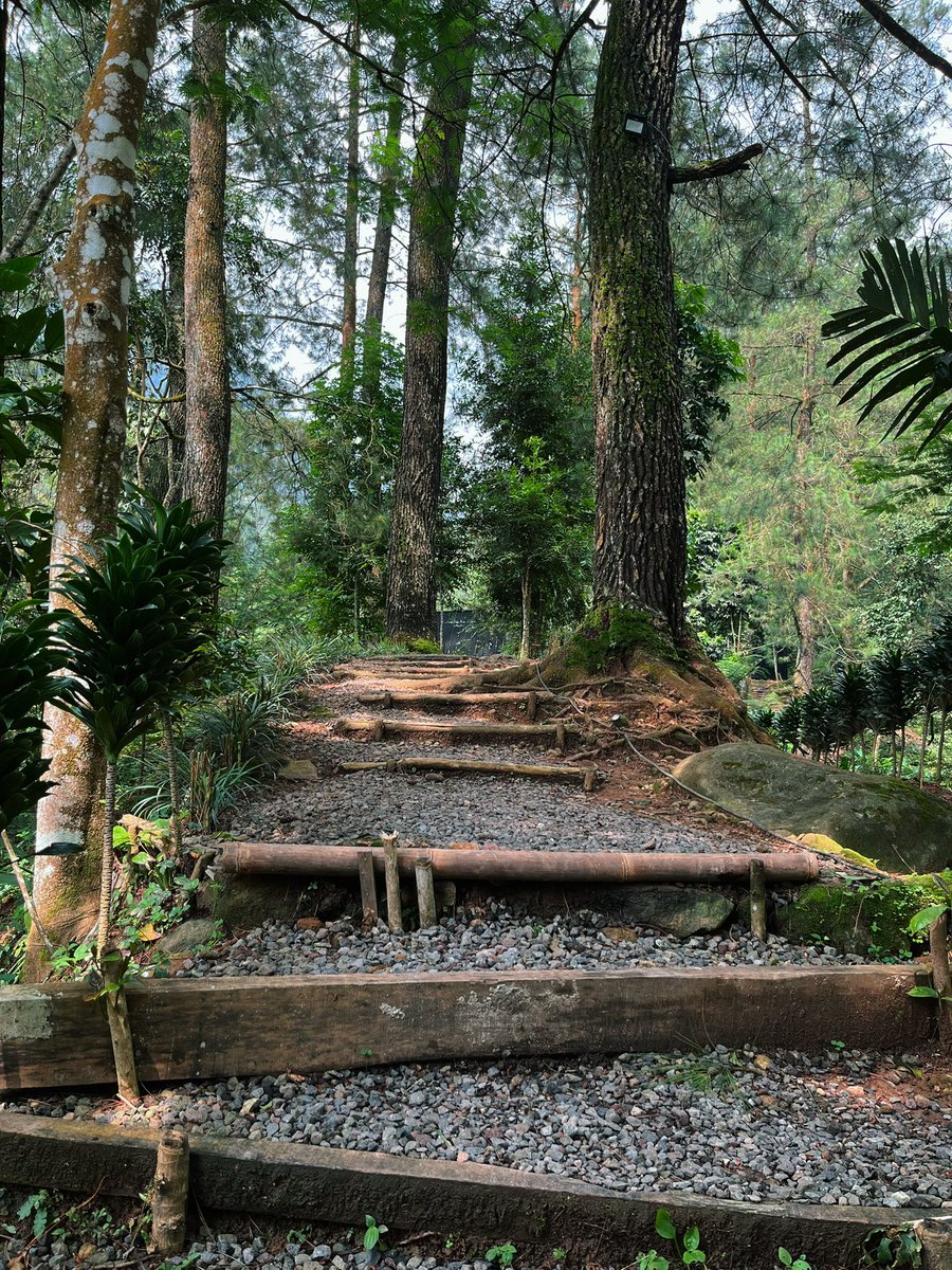 my trip archives 📸📸