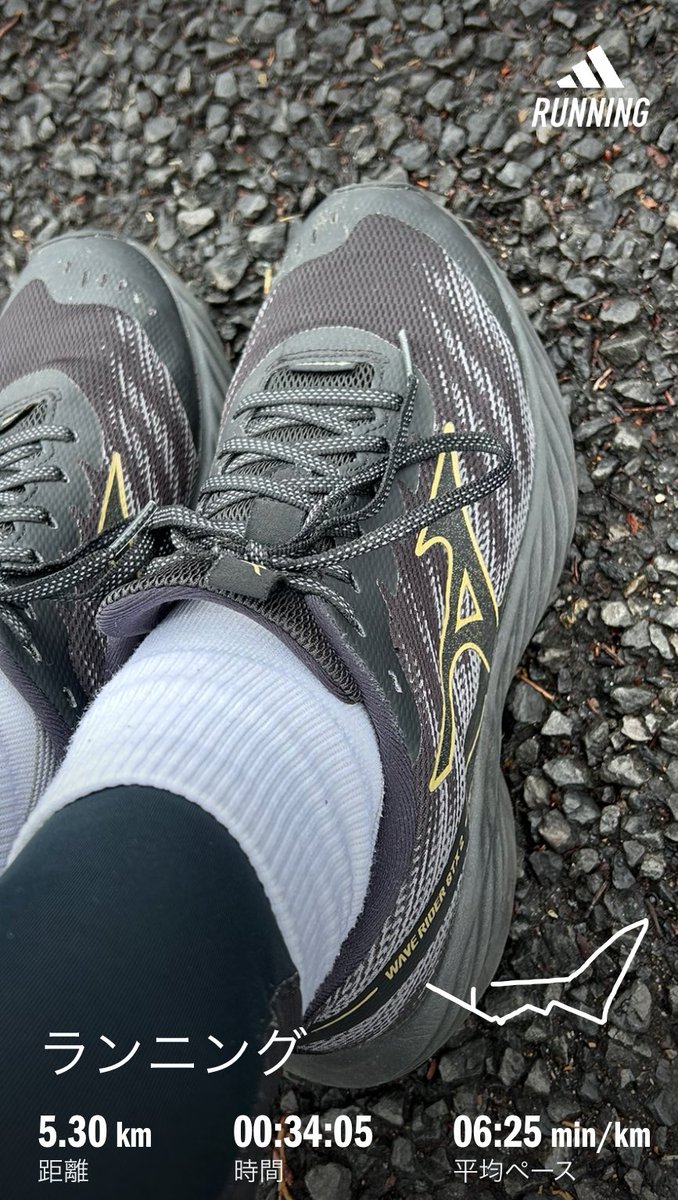 masaru_202004's tweet photo. 昼ラン5.3km🏃‍♂️✨

年始に購入したボメロプラスは クッショニングはいいのですが反発が腰に来るので 僕にとってはちょっと走りにくいですね😅

なので、今日はウエーブライダーGTX2👟
（中身はウエーブライダー28）

丁寧な足の接地感を意識して走るこっちの方が好きです☺️🏃‍♂️✨ https://t.co/zE15hQIMlU