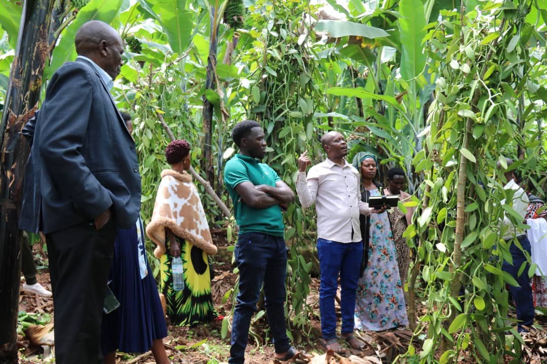 Kabarole Research and Resource Centre (KRC-Uganda) tweet media