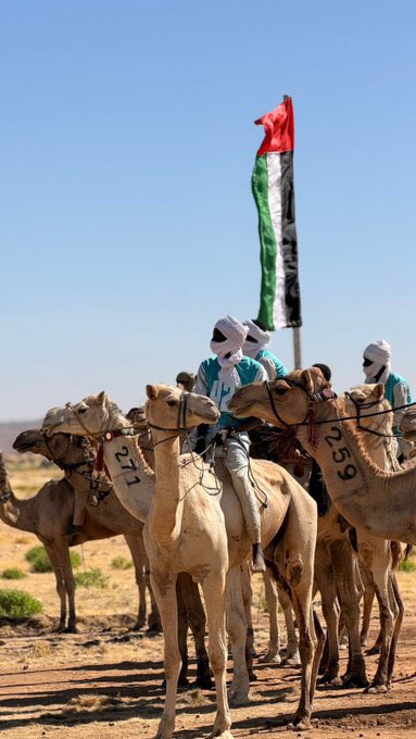 بدعمٍ إماراتي متواصل لصون التراث الإنساني، يواصل #مهرجان_تشاد_للهجن تعزيز حضوره كمنصة دولية تحتفي بإرث الهجن الأصيل، وبمشاركة واسعة من 15 دولة من مختلف أنحاء العالم 👏