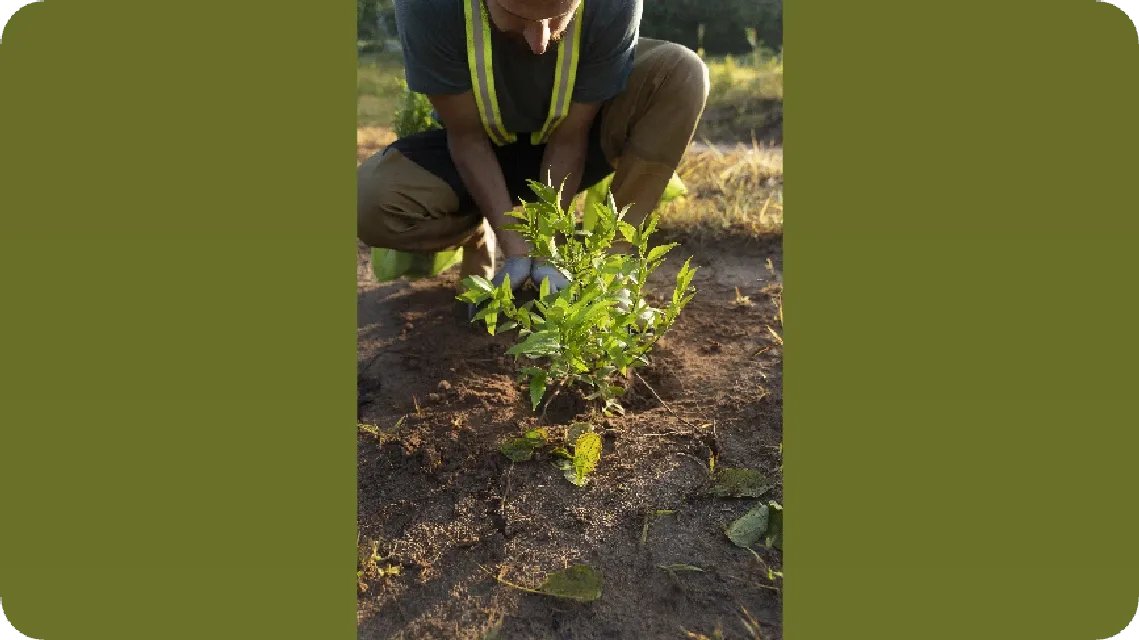 JayKayChiichii's tweet photo. This image says it all 🌿
It starts with you. Make a difference.

View the post 👉 https://t.co/dLzKbHrCP8
Earn GREEN on ECOX Network while you act:
https://t.co/pNcjK8lO9V

#ECOX #GREEN #ECO_TO_EARN https://t.co/PeEbK1HIqB