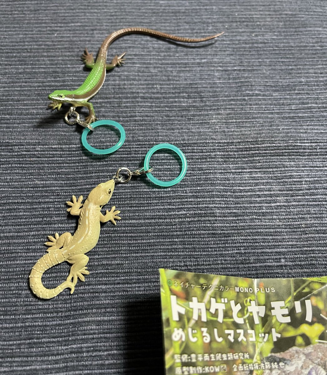ひるね🦎 tweet media