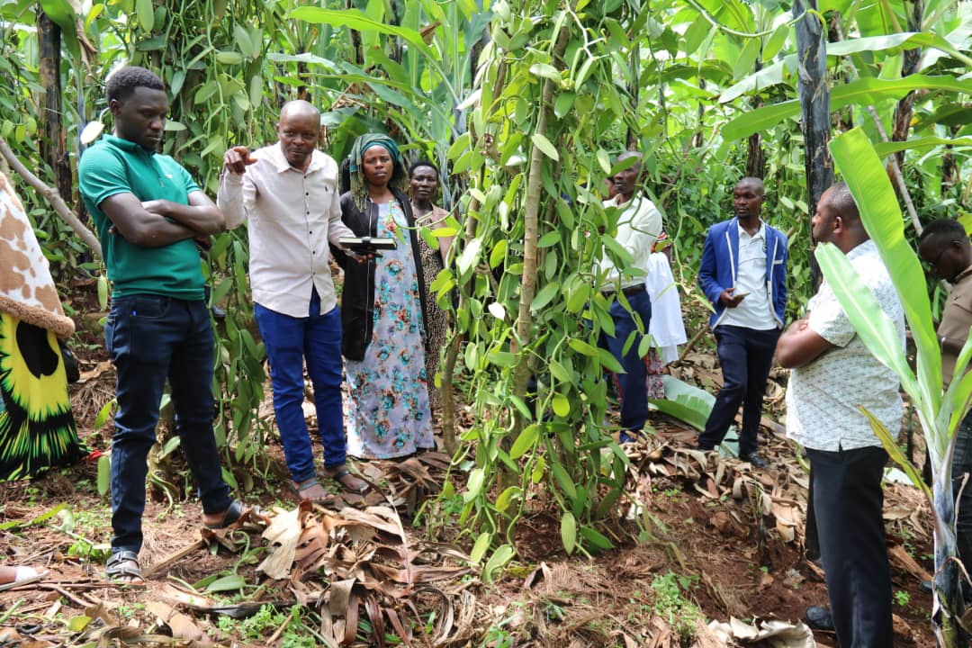 Kabarole Research and Resource Centre (KRC-Uganda) tweet media