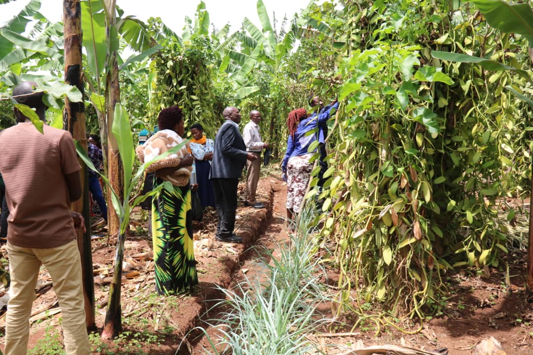 Kabarole Research and Resource Centre (KRC-Uganda) tweet media