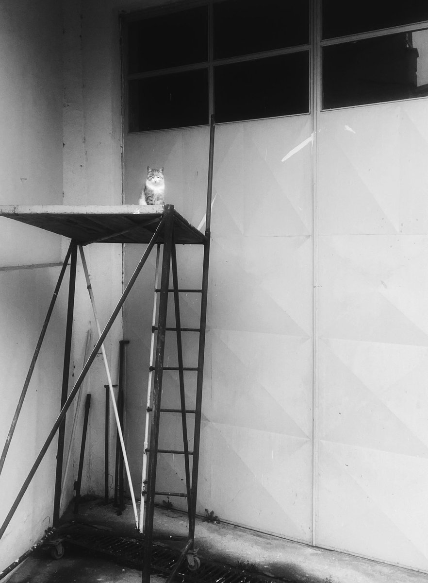 Mert (@yerelradyo) on Twitter photo 