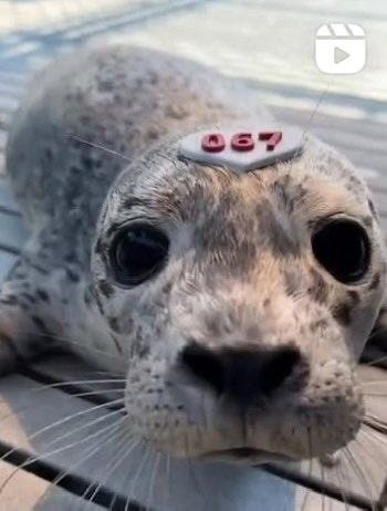 aarsh ⁉️ tweet media