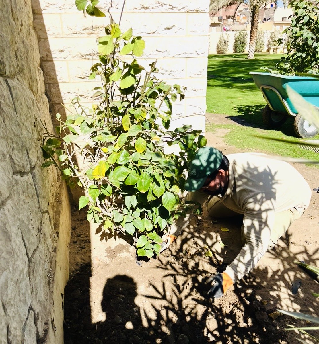 Hassanein Shaaban @CWGC COMMOnwealth War Graves tweet media