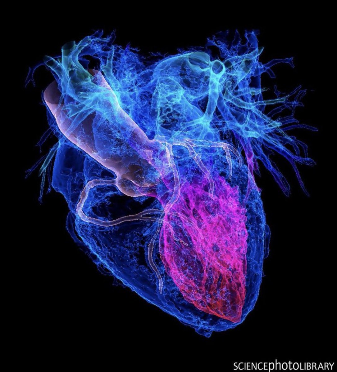 Kalp hastalığı riskini %80’e kadar azaltabileceğinizi biliyor musunuz?

Araştırmalar, kalp hastalığı açısından en yüksek risk grubunda bulunan kişilerin, 7 basit önleyici tedbiri alarak risklerini %80’e kadar azaltabileceklerini göstermiştir.

Buyurun👉