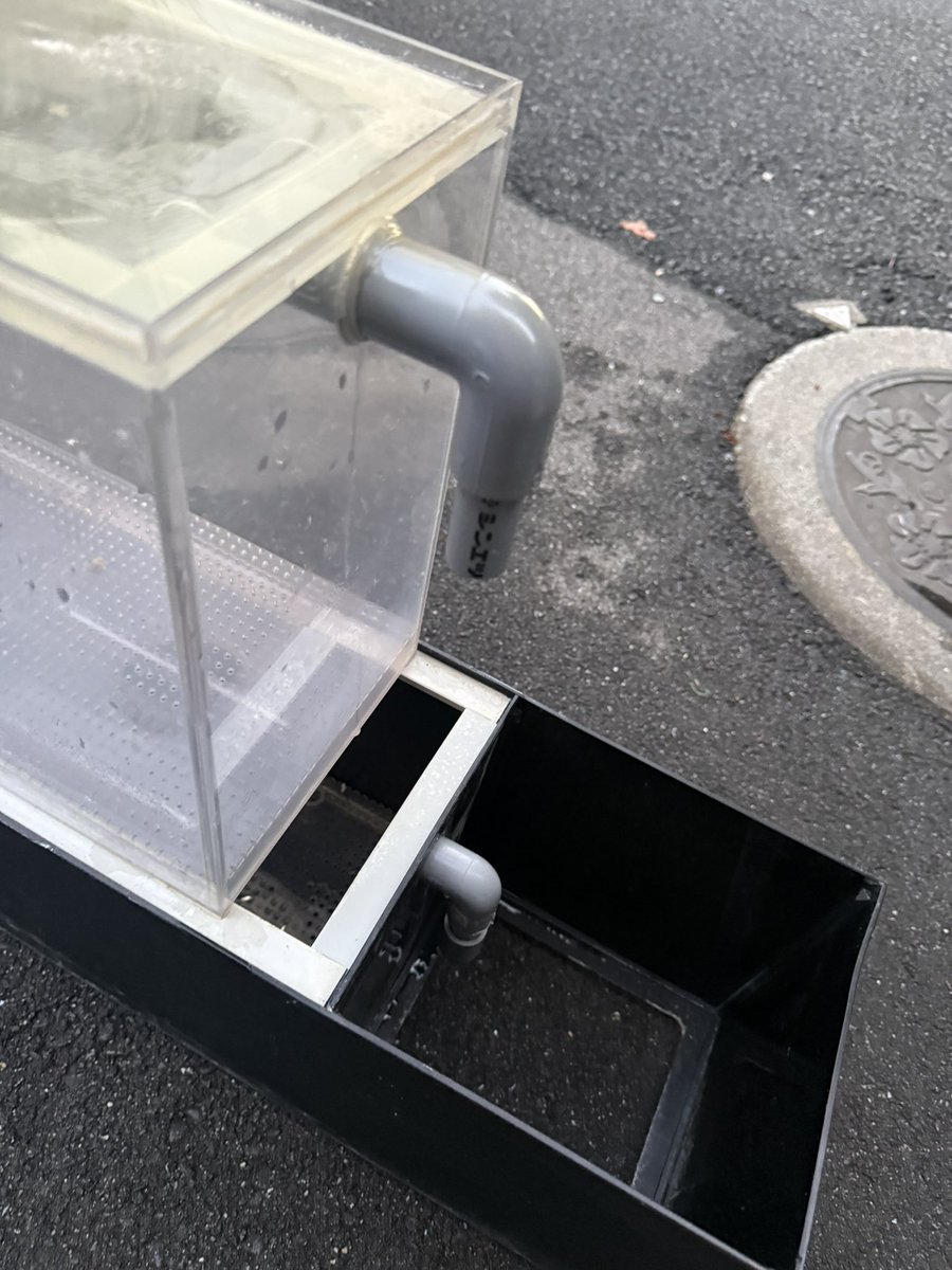 アロたい tweet media